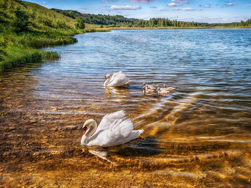 Photograph by Марина Ческис