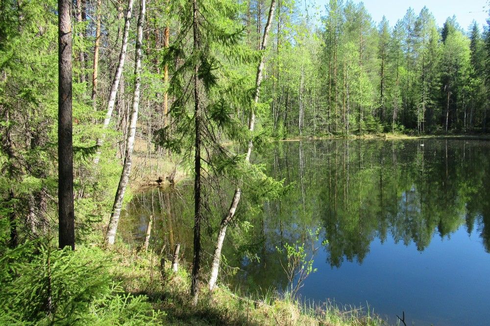 Photograph by Ольга Березовская