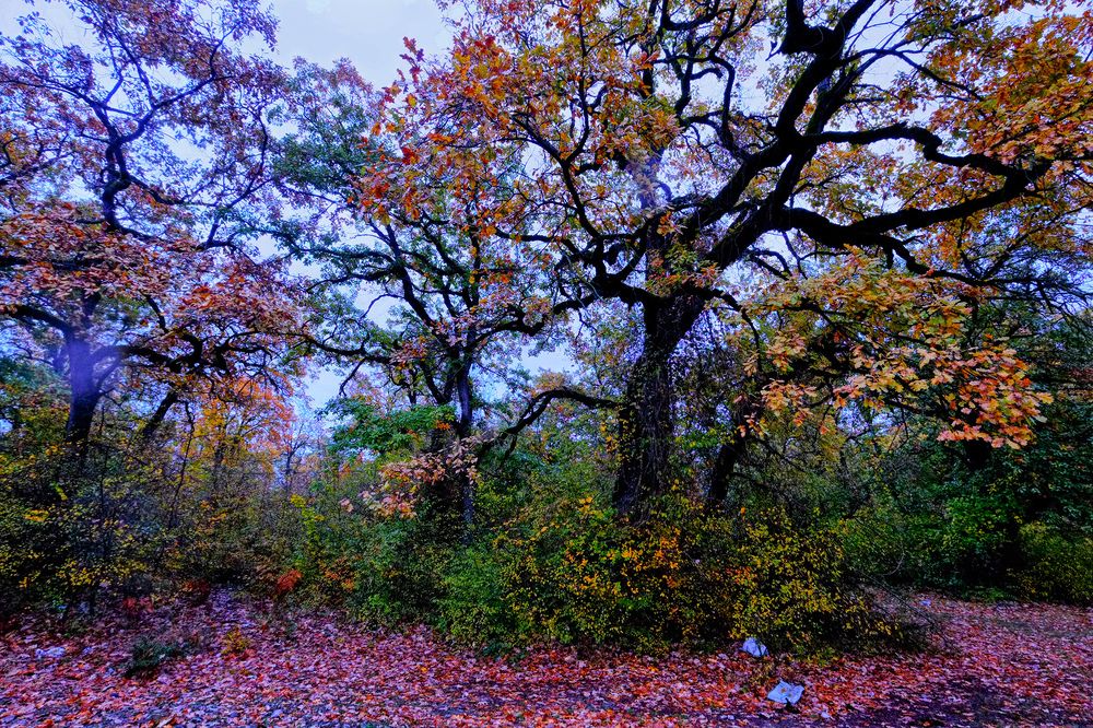 Photograph by Айдын Мехтиев