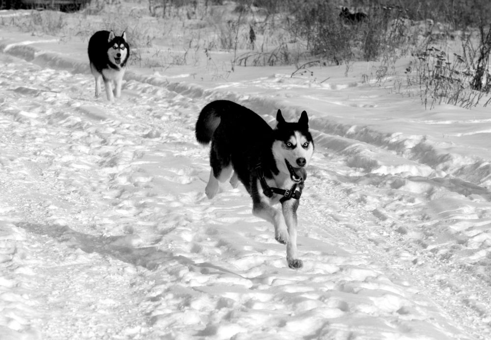 Фотография автора Nelya  Lysenko