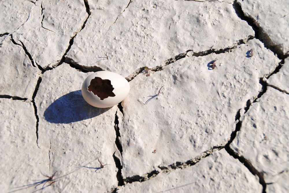 Photograph by Инна Сечко