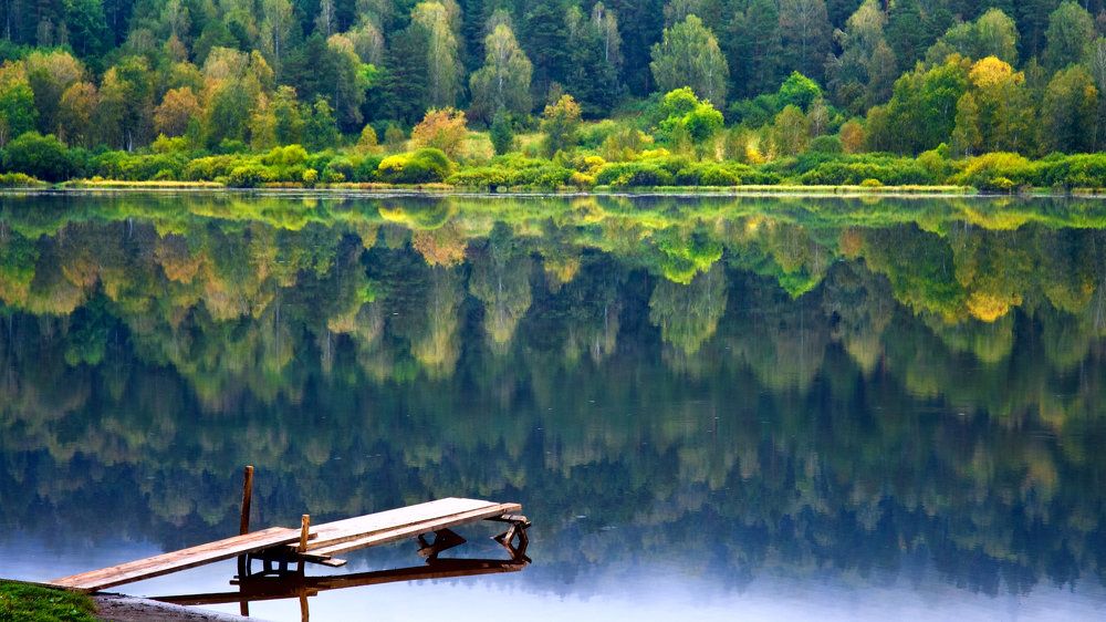 Фотография автора Aleksandr Medvedev