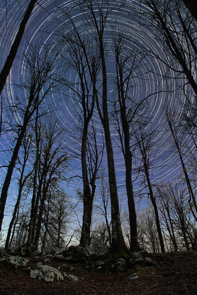 Photograph by Siamak Sabet