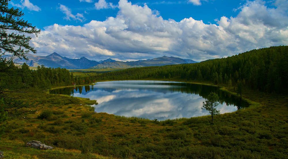 Фотография автора Aleksandr Medvedev