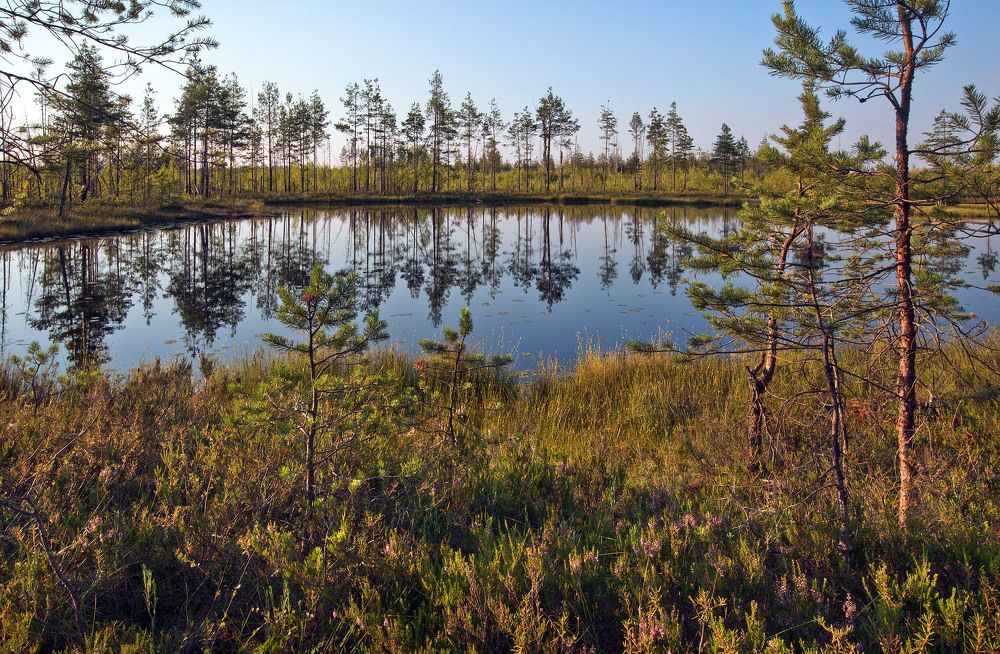 Фотография автора Ольга Виноградова