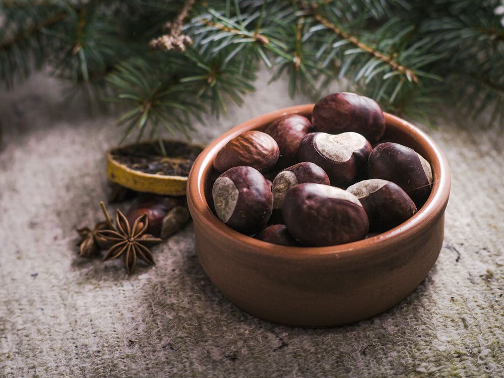 Photograph by Fadeeva Ekaterina