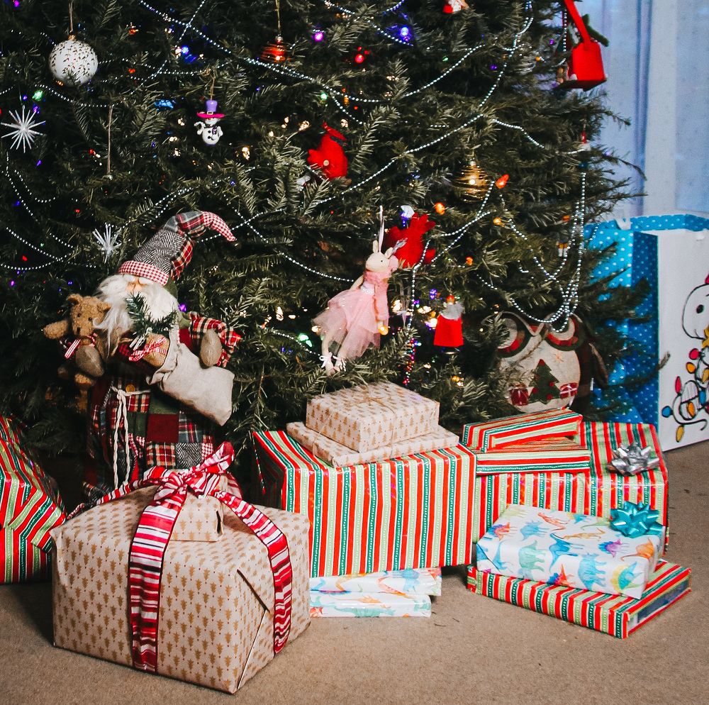 Photograph by Natalia Everatt