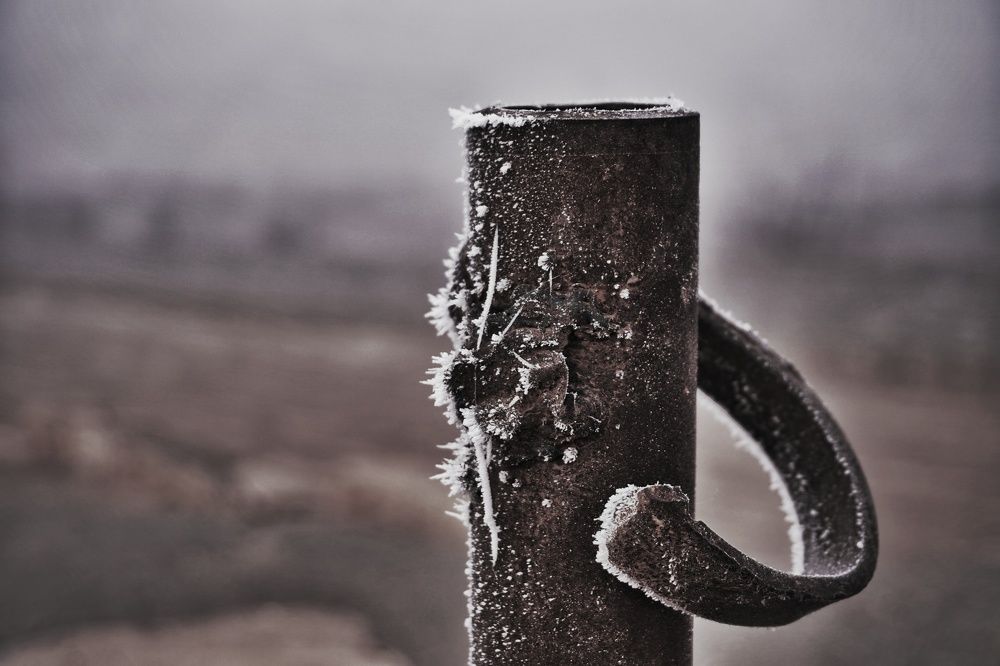 Фотография автора farhad hashemi