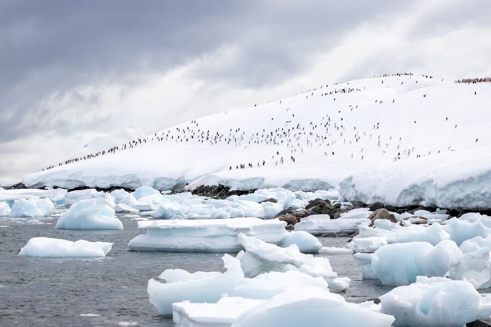 Photograph by Виталий Панёк