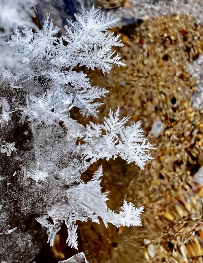 Photograph by Елена Мизина