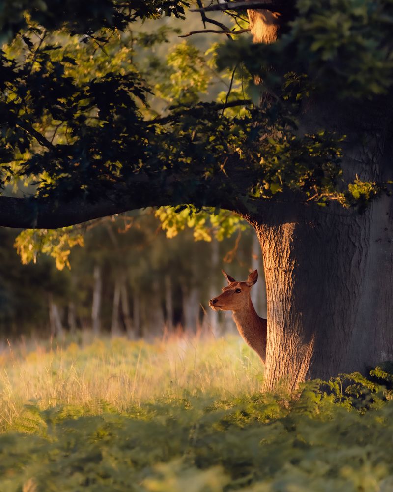 Photograph by Aleks Budimir