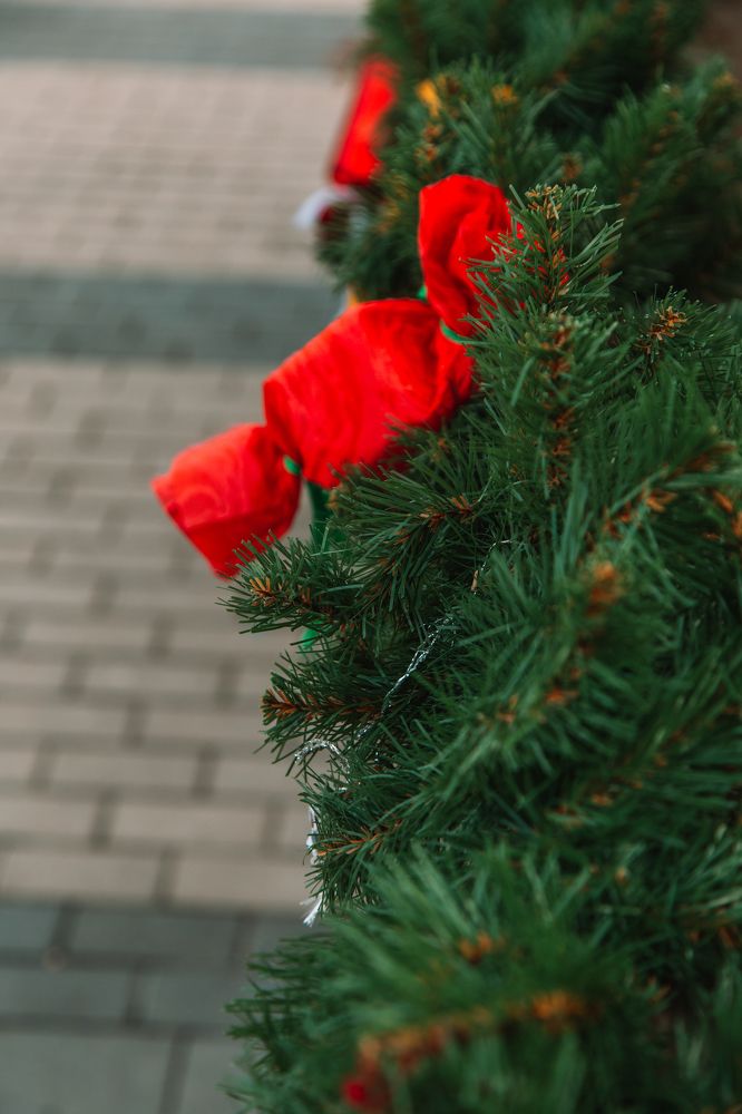 Photograph by Ирина Панкова