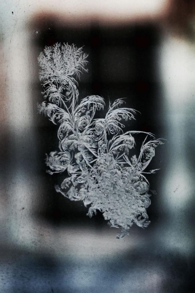 Photograph by Елена Ласун