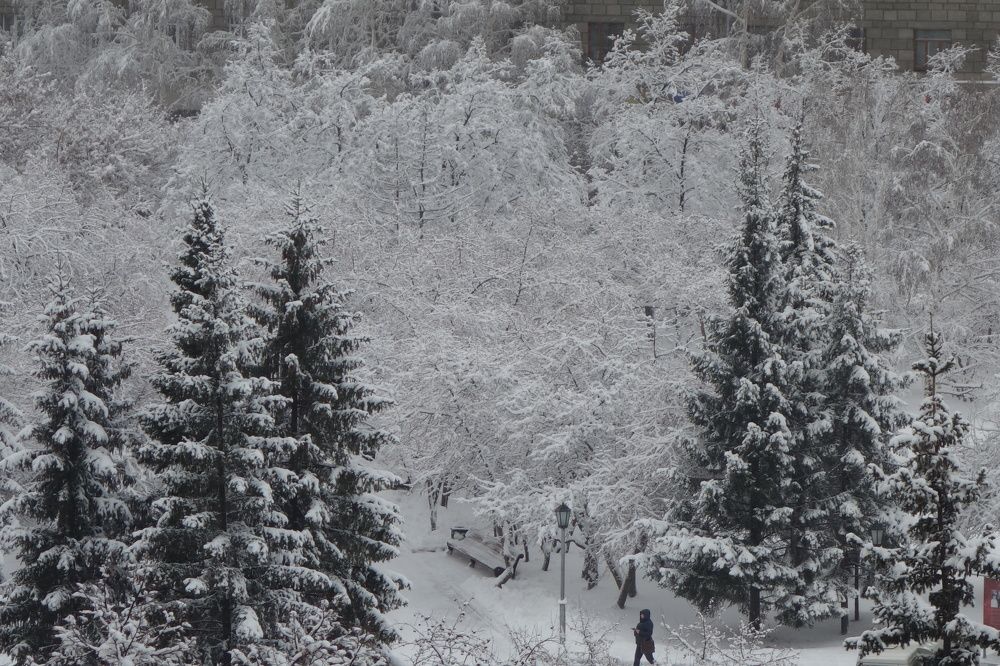 Photograph by Сергей Гребенников