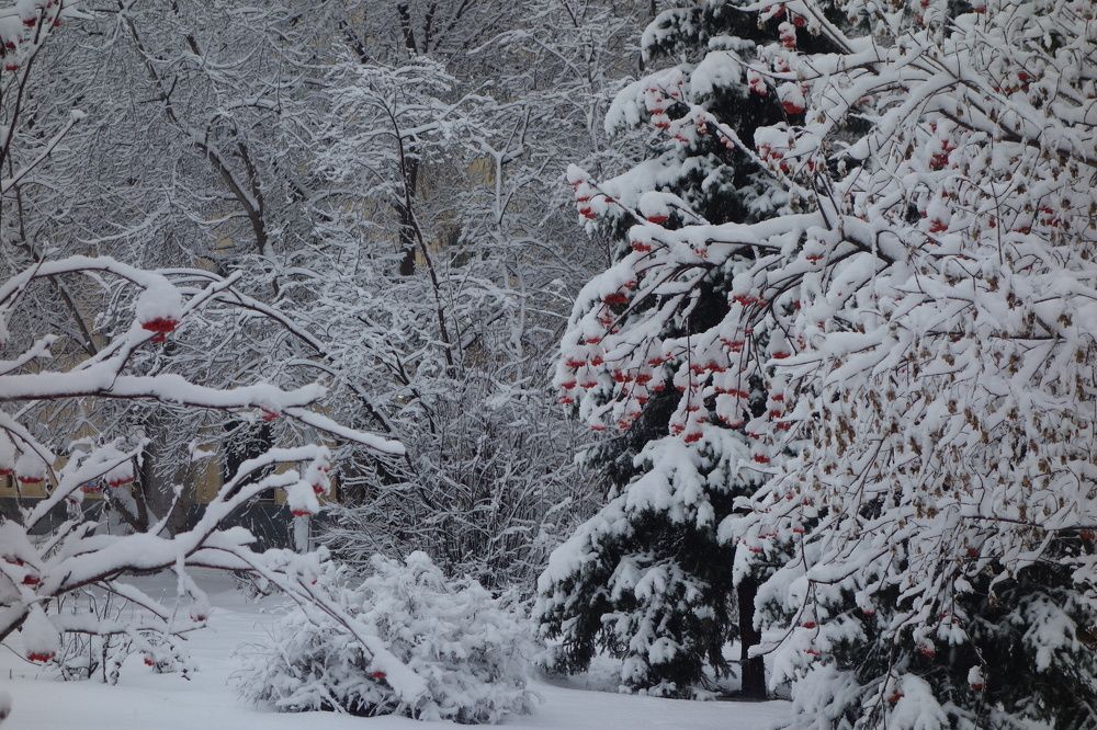 Photograph by Сергей Гребенников