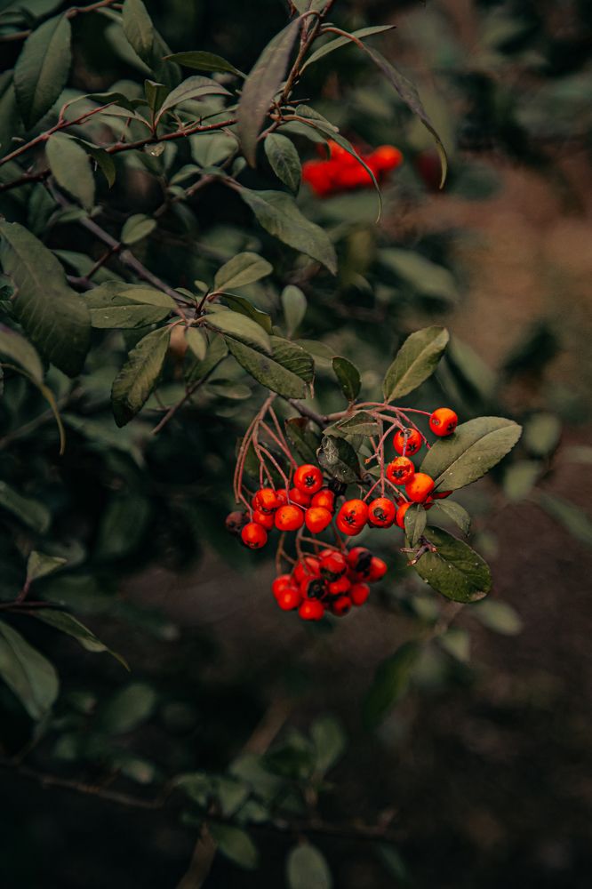 Photograph by Ирина Панкова