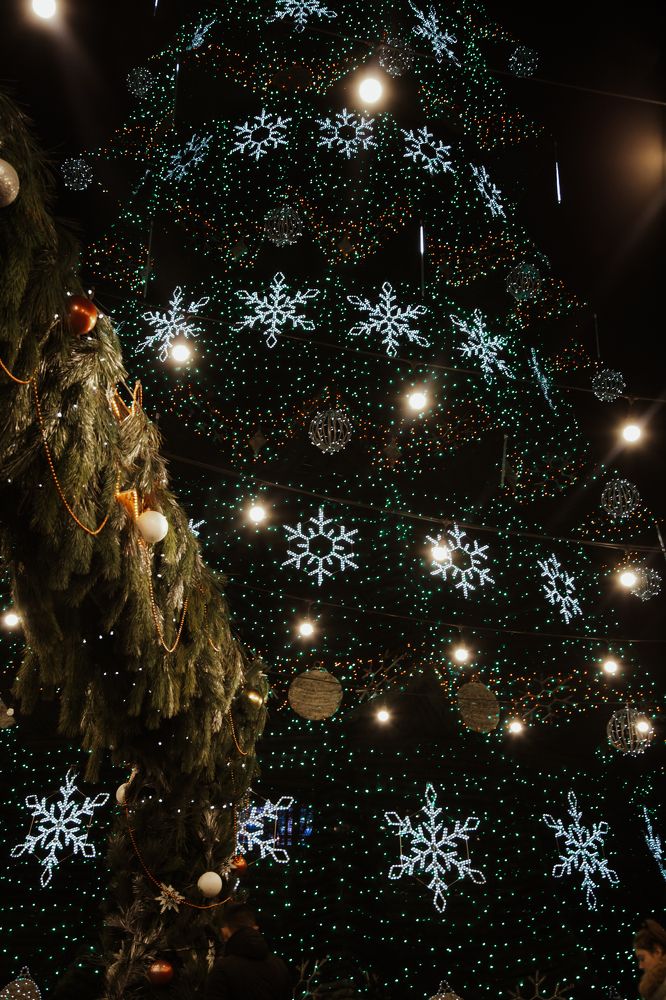 Photograph by Ирина Панкова