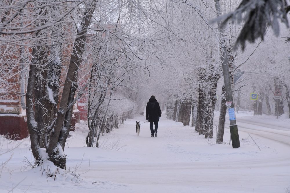 Photograph by Приходько Дмитрий