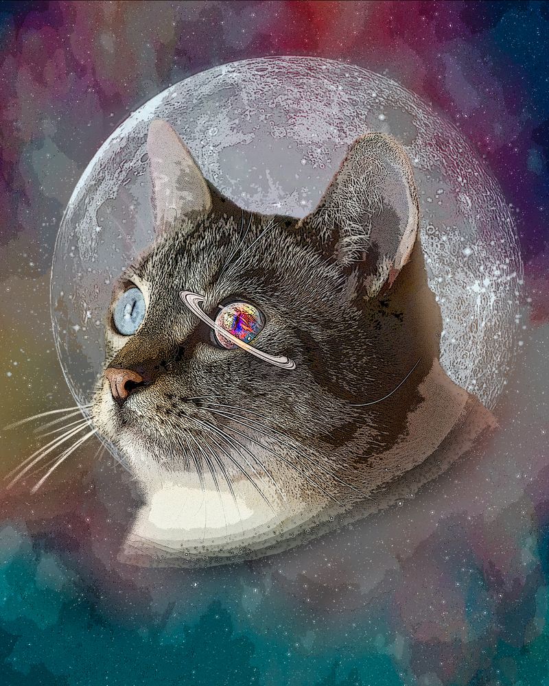 Фотография автора Angela Miller