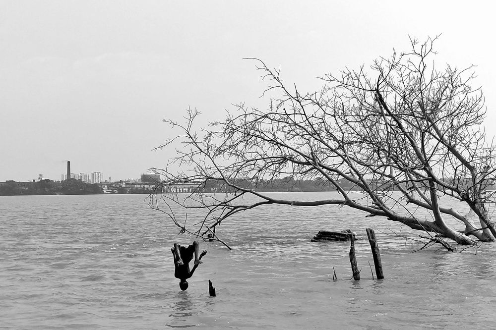 Photograph by Aranya