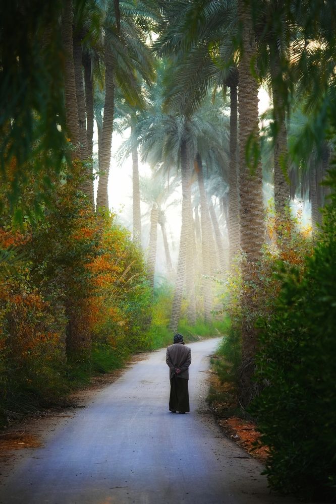 Photograph by Wesam hm Alrufaie
