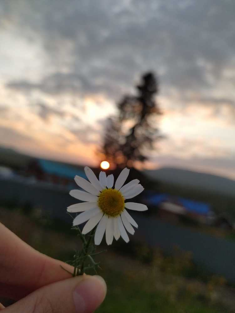 Photograph by Юлия Ботова