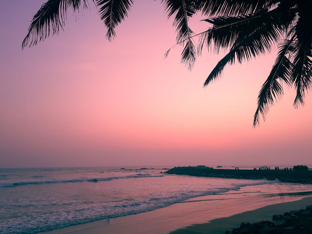 Photograph by Janith Prasanna J.P.