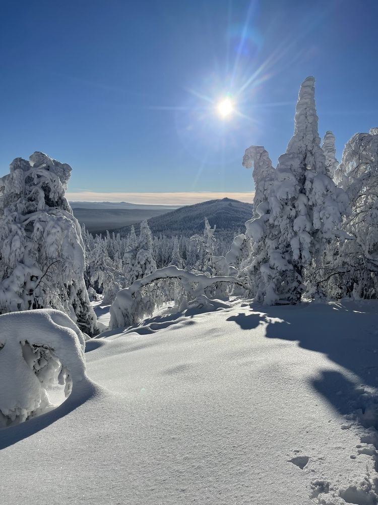 Photograph by Танечка