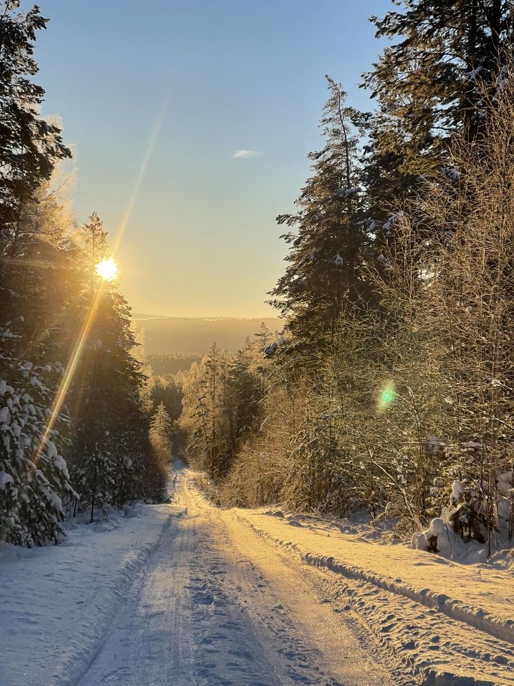 Photograph by Танечка