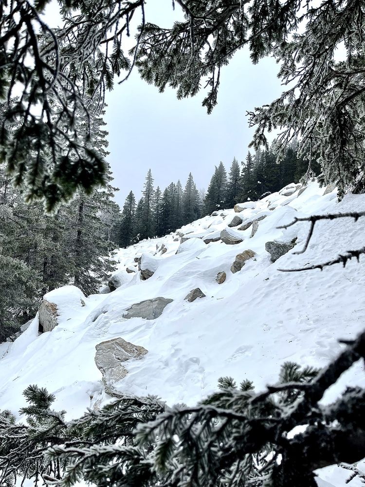 Photograph by Танечка