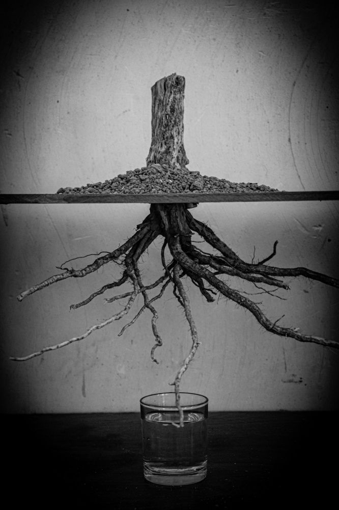 Photograph by Anis Ghalavand