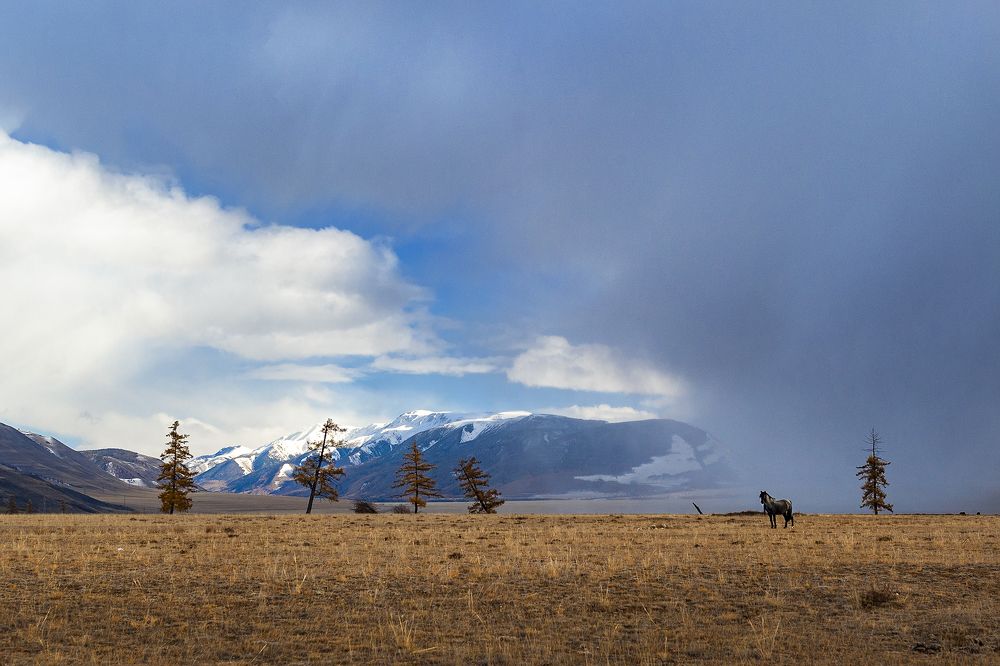 Photograph by Евгений Санин