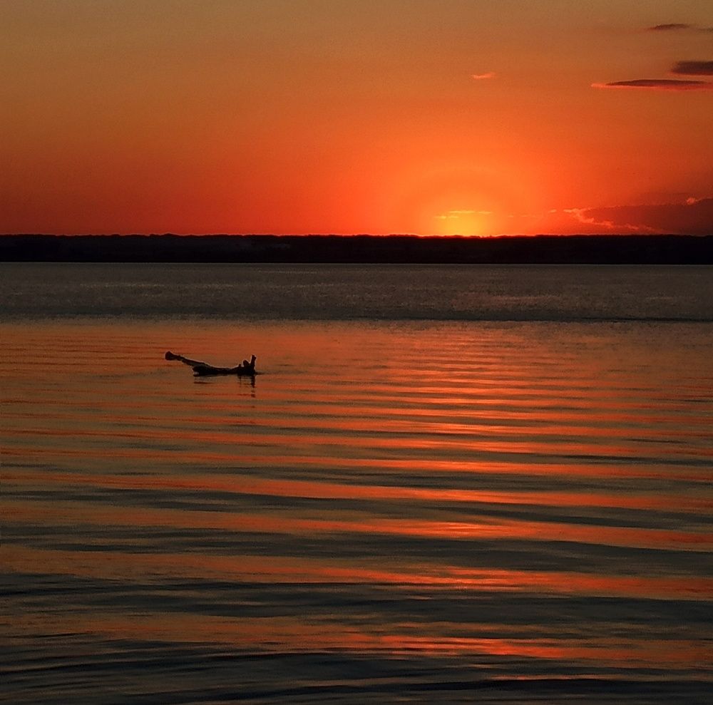 Photograph by Евгения Акишева