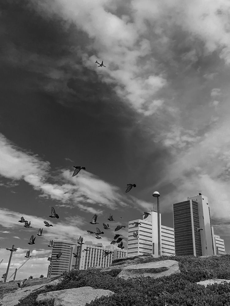 Photograph by Uliana Volegova