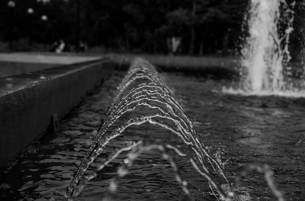 Photograph by Даниил Марков