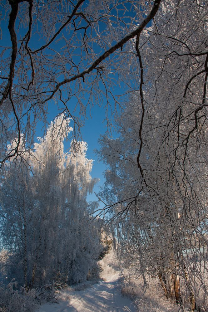 Photograph by Ершов Сергей