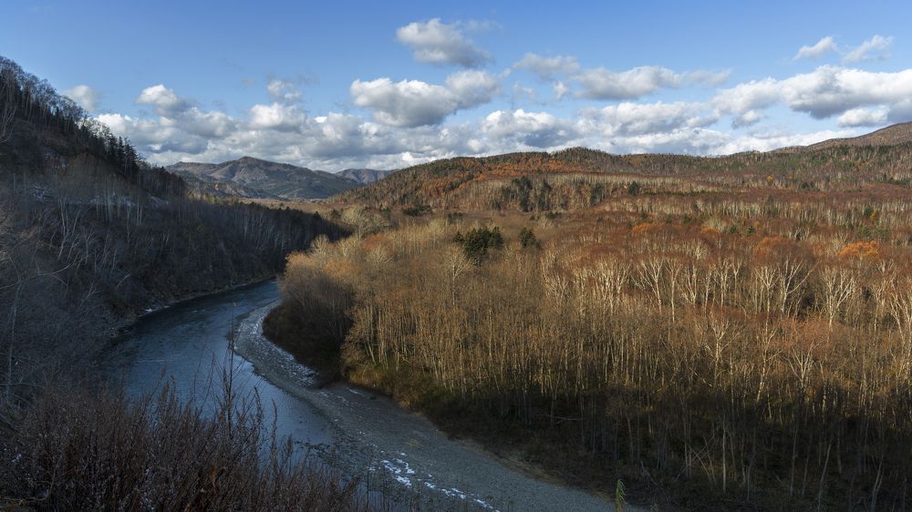 Предзимье...