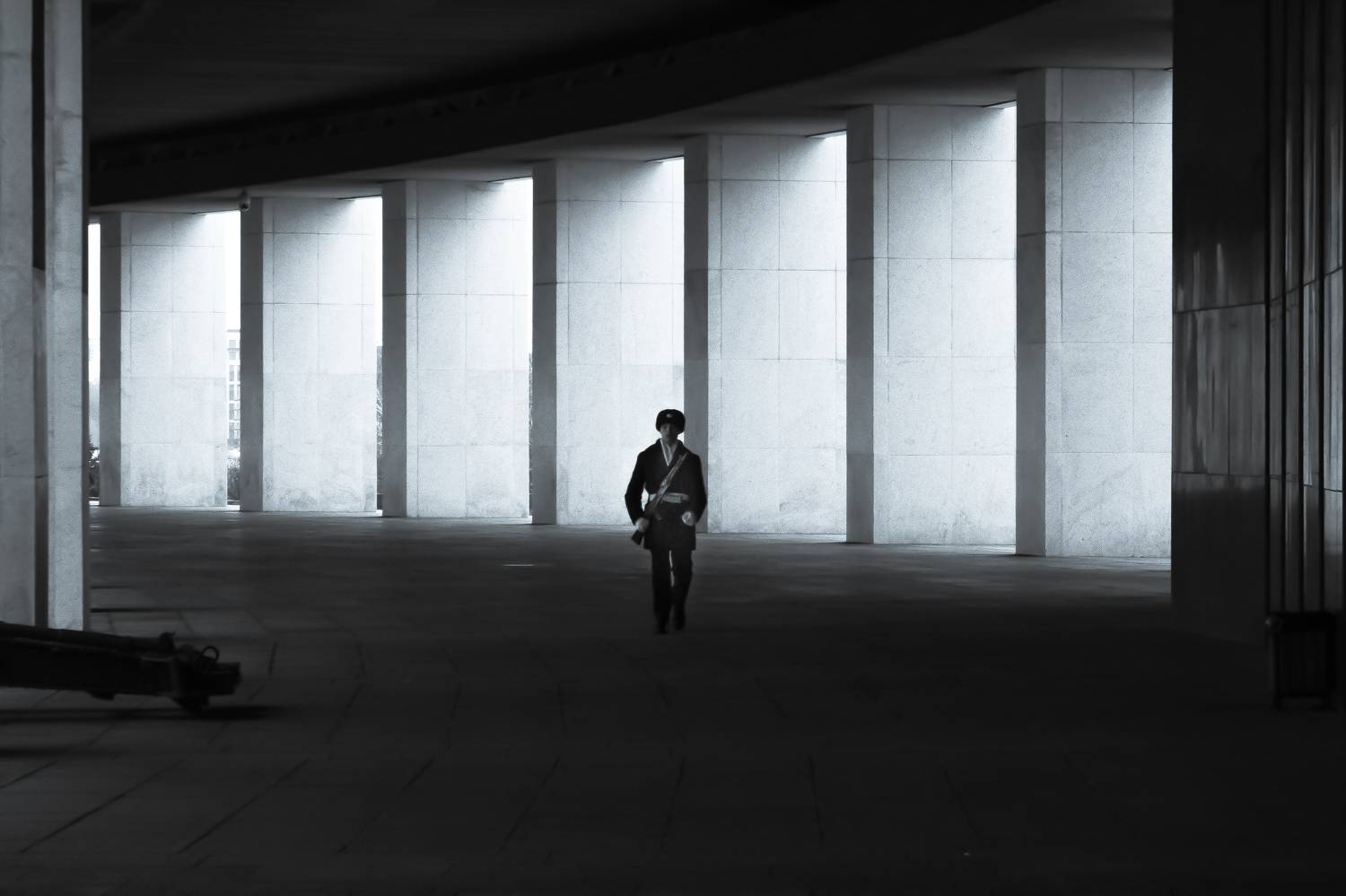 Photo #8546815