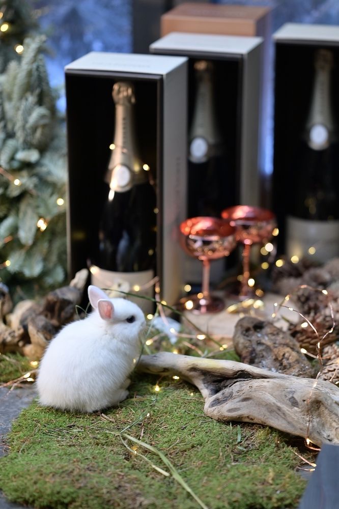 Кролик и шампанское