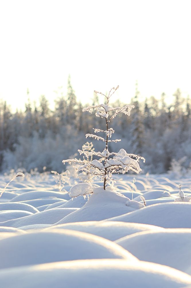 Photograph by Вероника Герасимова