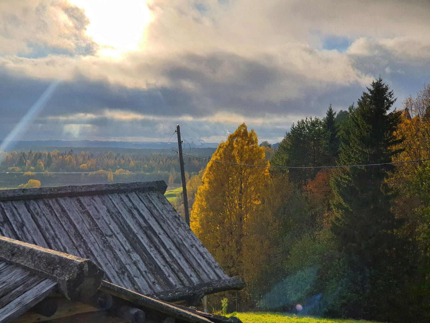 Photo #8546873