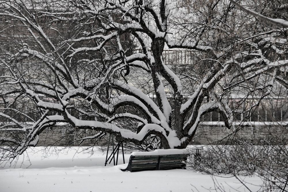 Photograph by Станислав Староверов