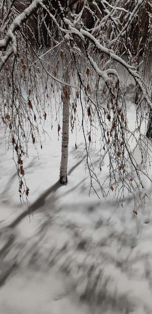 Photograph by Светлана Немонтова