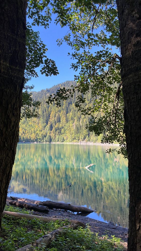 Photograph by Елена Горбунова