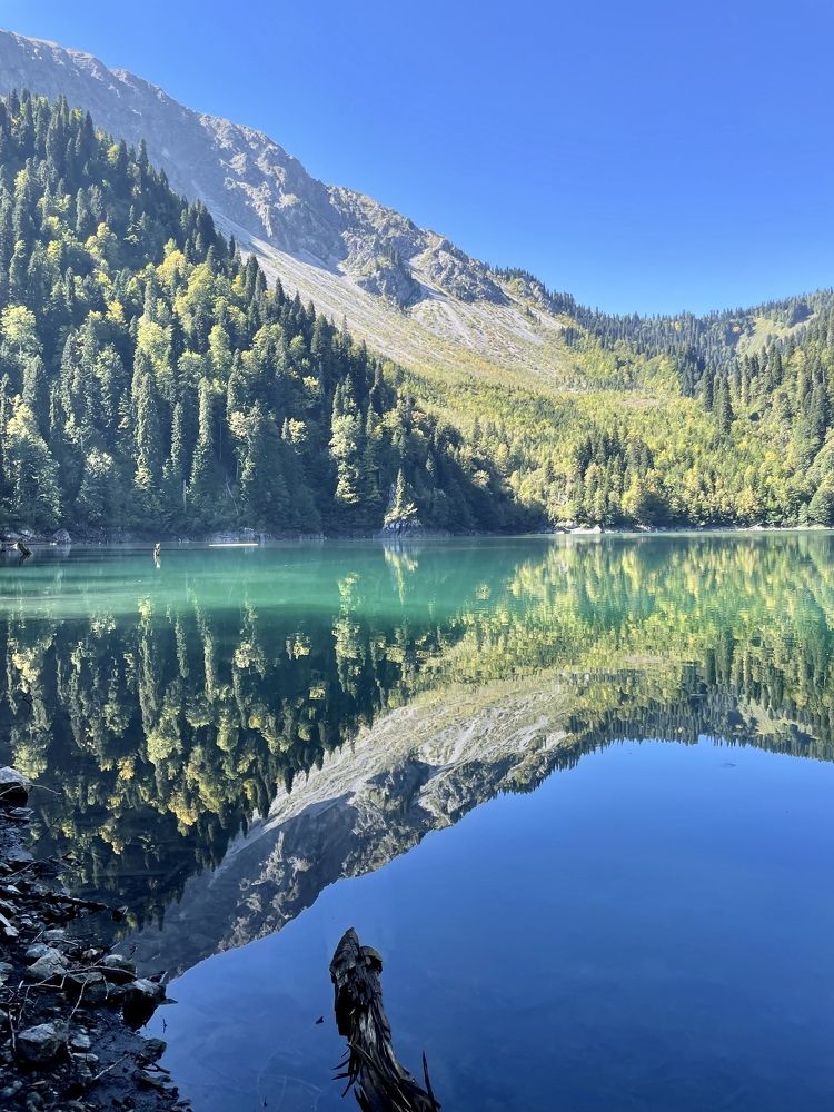 Photograph by Елена Горбунова