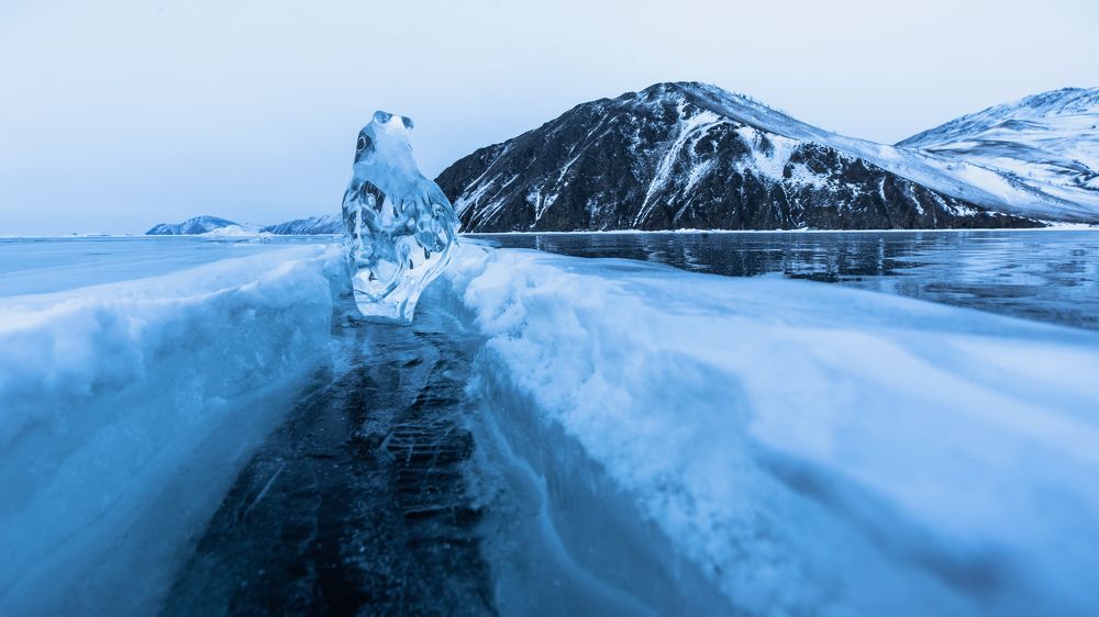 Фотография автора Борис Коновалов