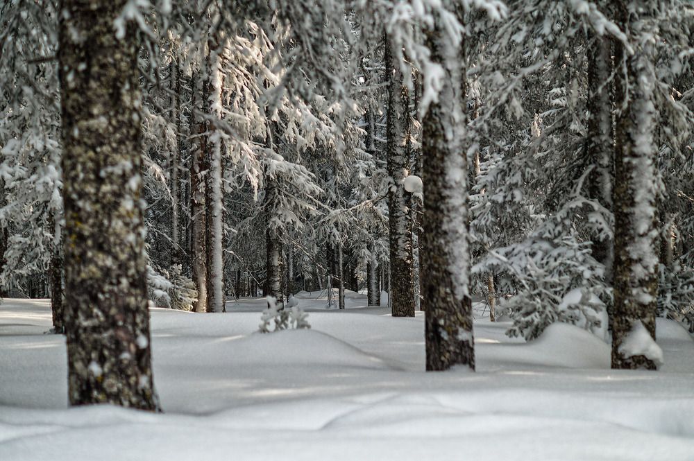 Photograph by Даниил Марков