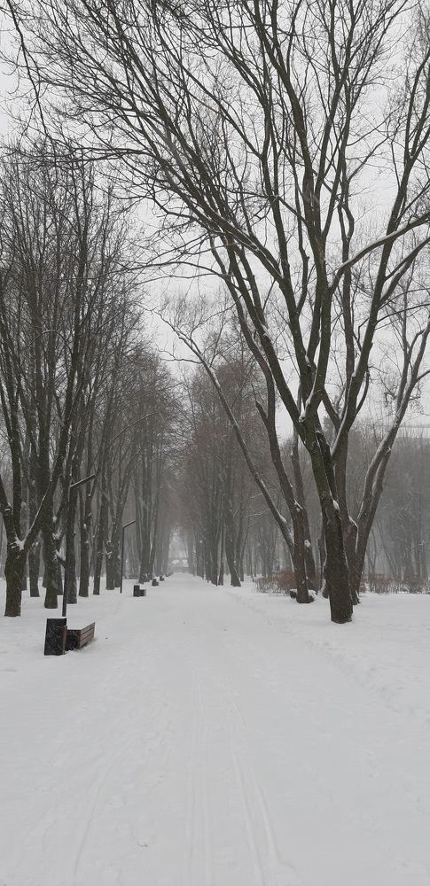 Photograph by Светлана Немонтова