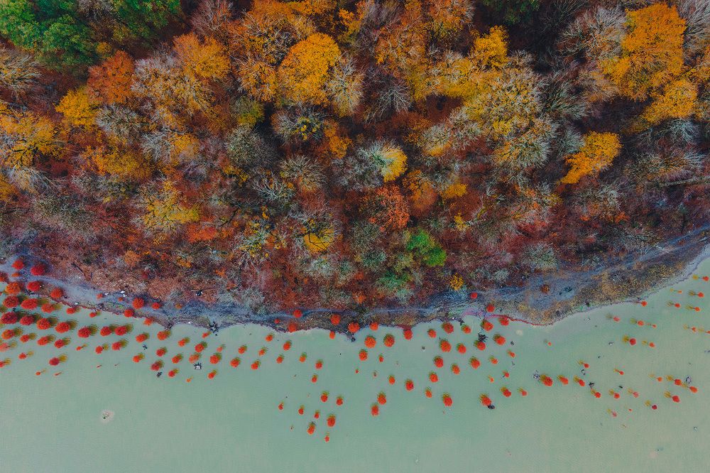 Photograph by Pourarab Mohammad Mahdi