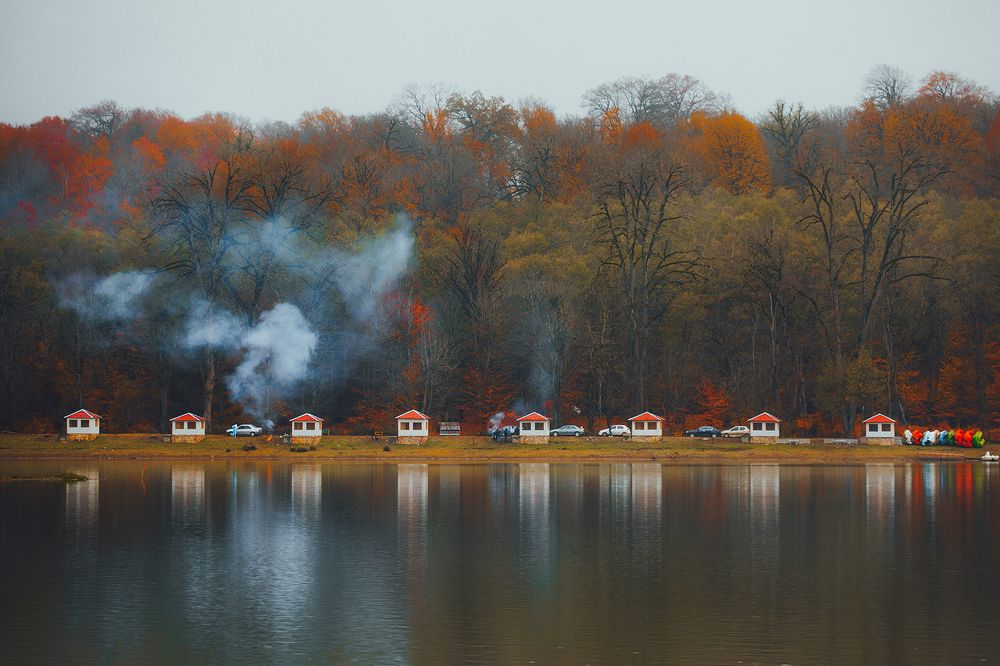 Photograph by Pourarab Mohammad Mahdi